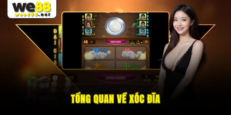 Tổng quan về xóc đĩa